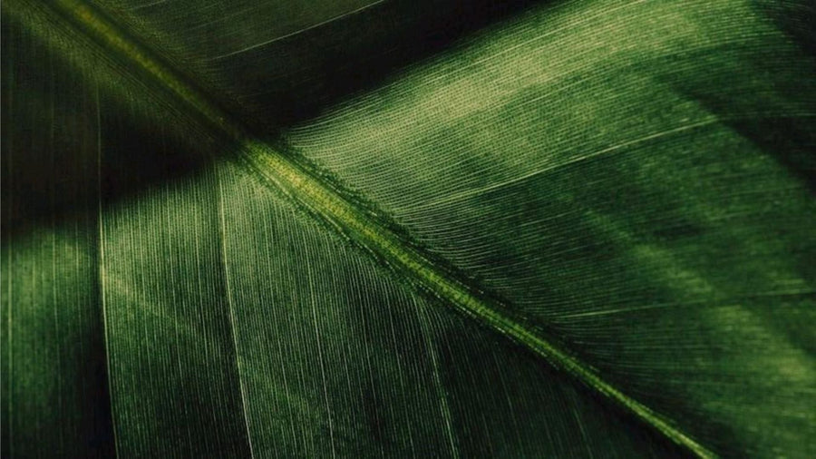 SUSTAINABILITY